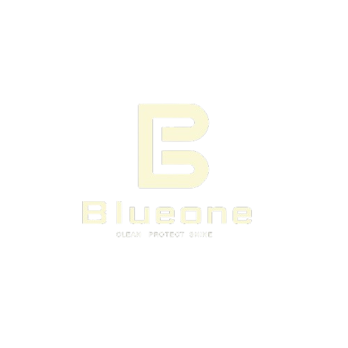 Blueone Store